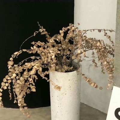 繁峙FurryQQ群介绍